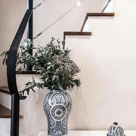 Rey De Flats - Duplex Museo *